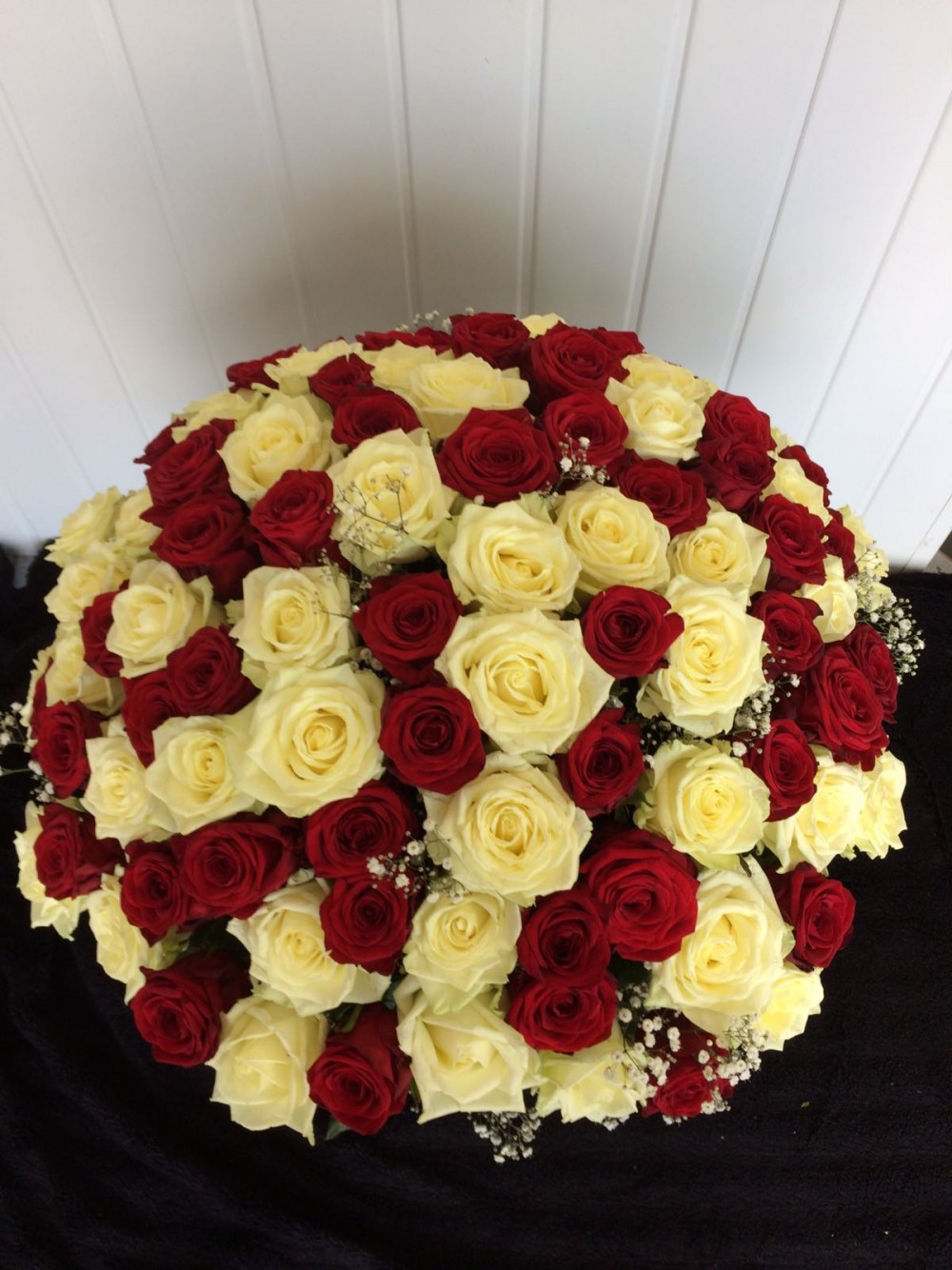 100 Red & White Roses