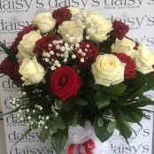 30 Red & White Roses